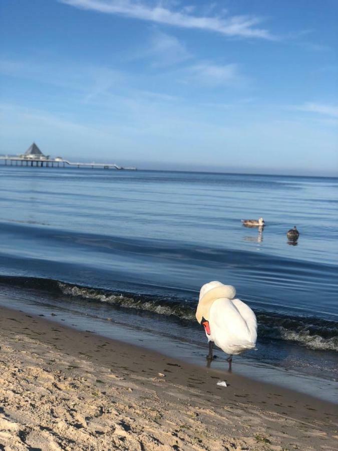 Sun House Leilighet Heringsdorf  Eksteriør bilde
